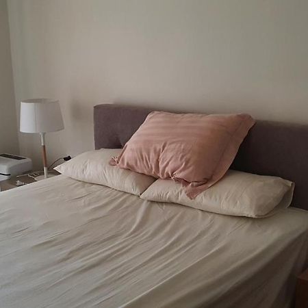 Cozy Penthouse Διαμέρισμα Τρίκαλα Εξωτερικό φωτογραφία